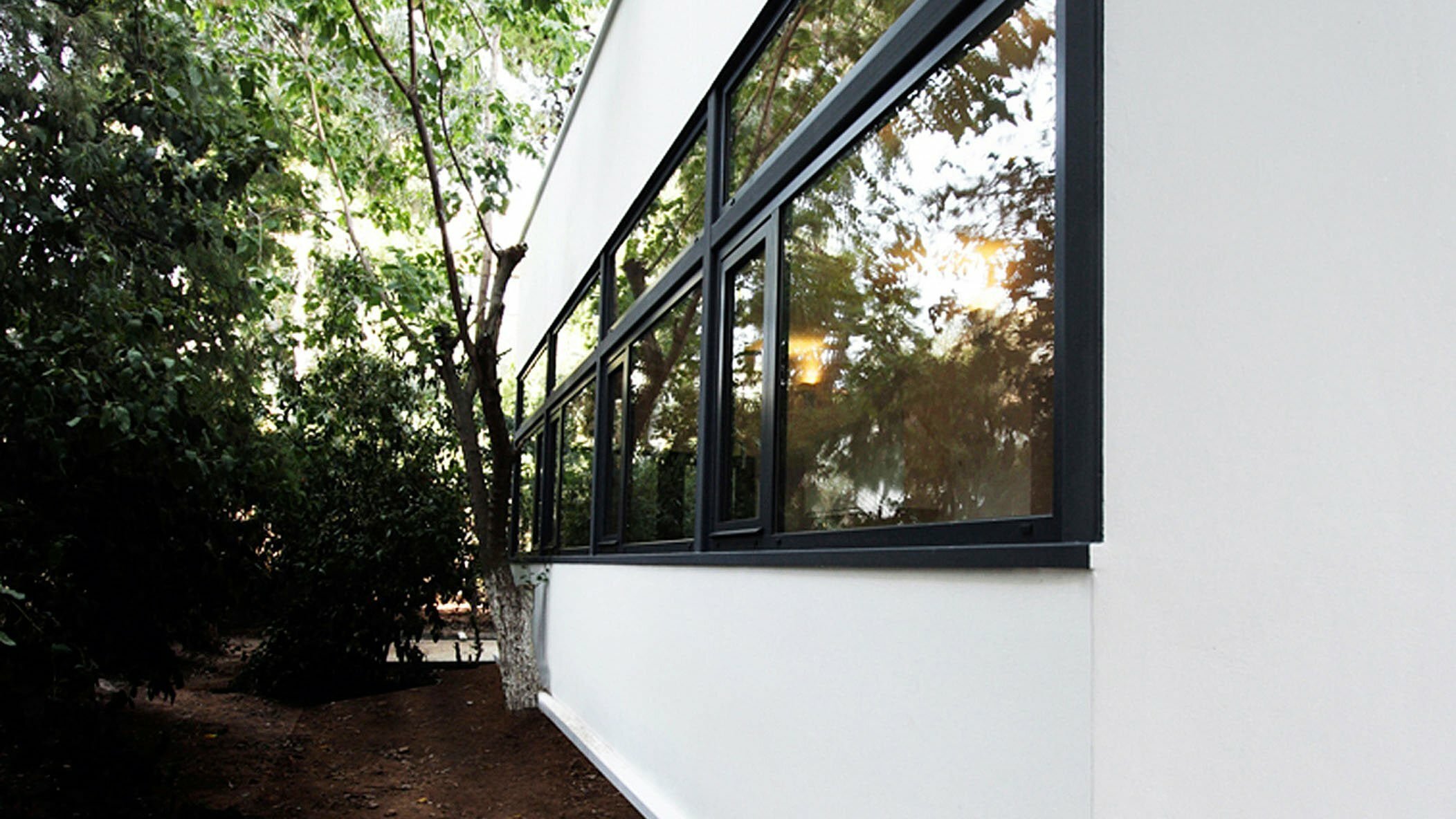 white building with big windows and trees.