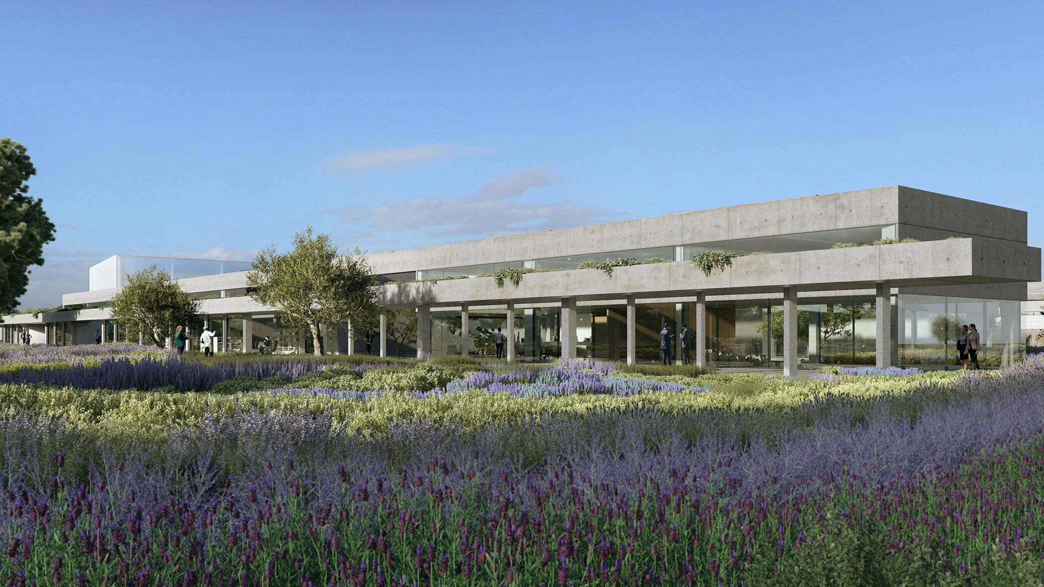 grey flat building surrounded by trees and purple flowers